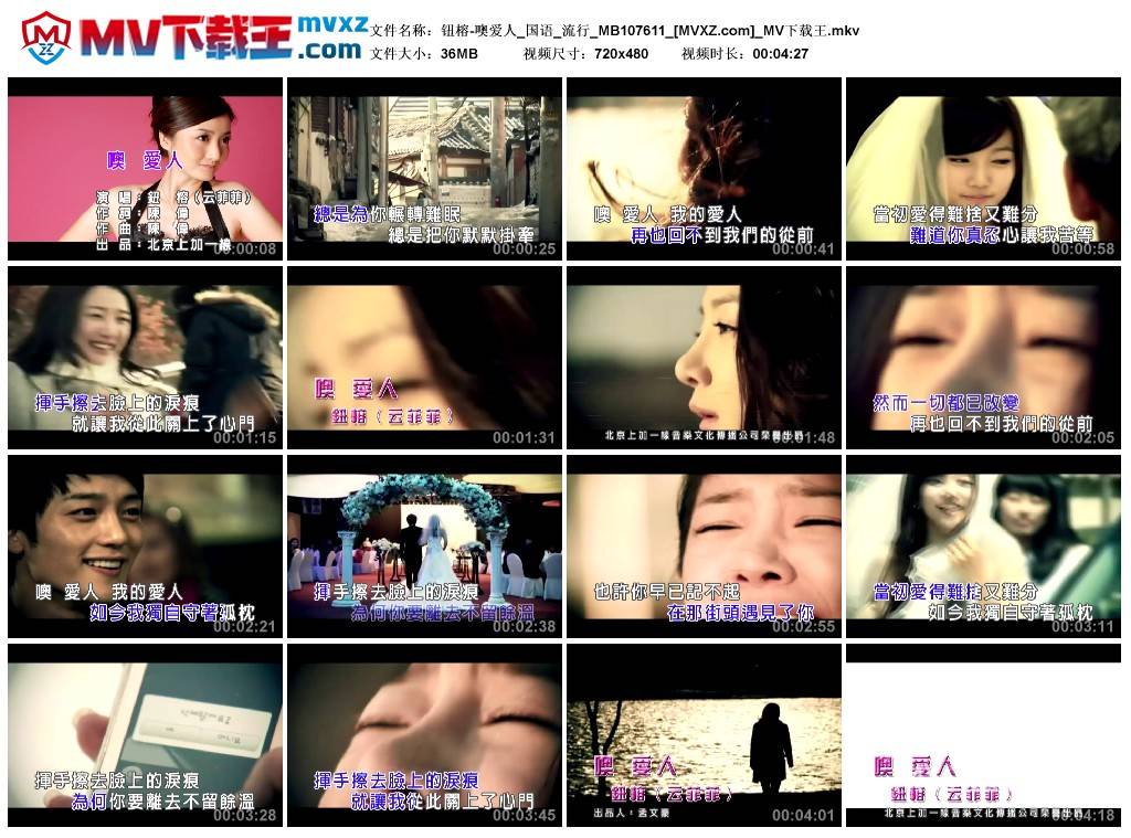 钮榕-噢爱人_国语_流行_MB107611